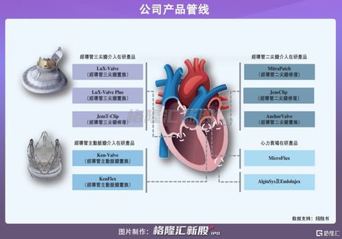 健世科技二度冲刺港股IPO 三年亏损下的创新突围与商业化挑战