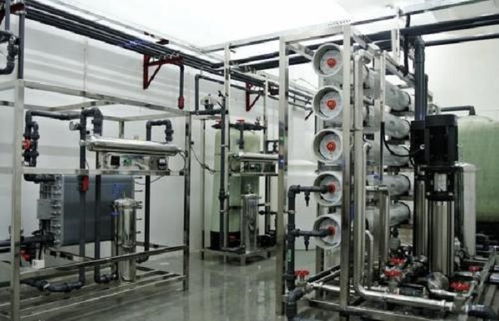 厦门回收与咨询服务综合指南